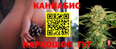 сатива Лесосибирск